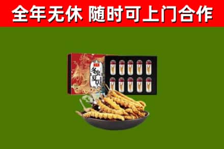 海北市回收冬虫夏草价格